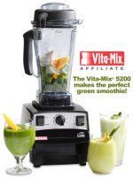 Vitamix_blender_power